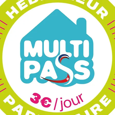 Vaste Et Lumineux Au Centre-ville De Avec Multi Pass Ete! - Fr-1-693-31